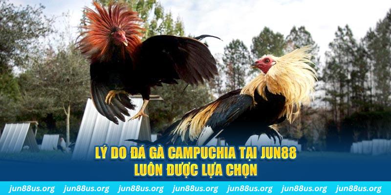 luck8333 tài xỉu nổ hũ là gì