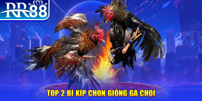 luck8333 đăng nhập roulette dễ thắng