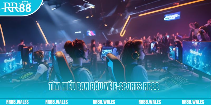 luck8333 Đĩa màu ace