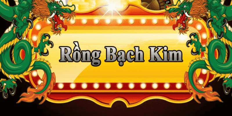 luck8333 đăng nhập roulette 2025
