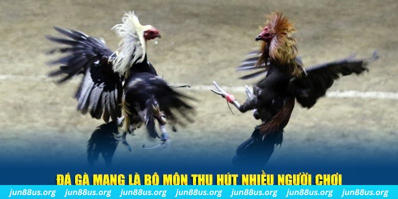 luck8333 xổ số cà mau