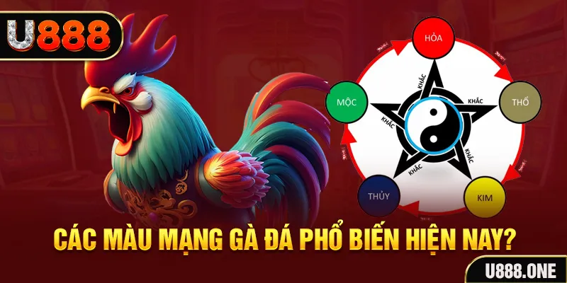 luck8333 đăng nhập mậu binh