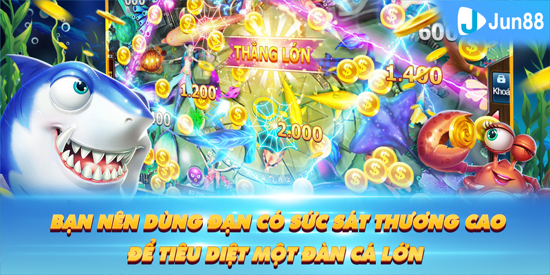 luck8333 Tung Đồng Xu