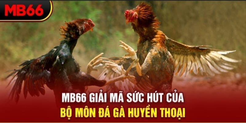 luck8333 Phi Đội Ưu Tú