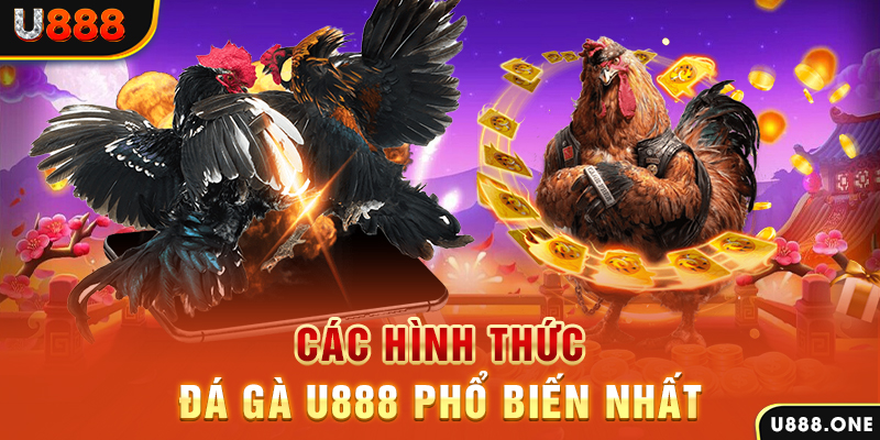 luck8333 DB Trực Tuyến