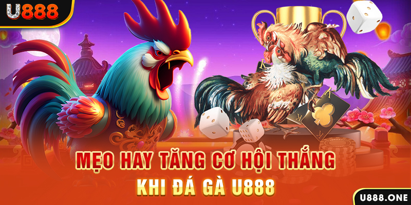 luck8333 trực tiếp gà chọi c1
