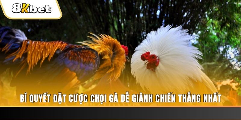 luck8333 Tài Xỉu 2