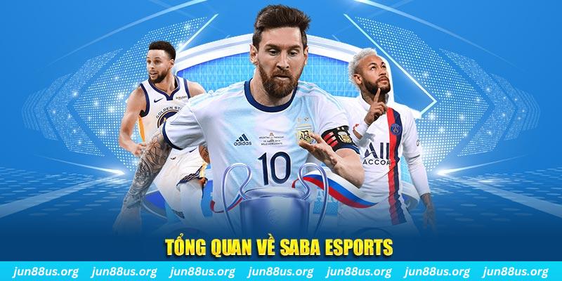 luck8333 gà chọi c1 tv trực tiếp hôm nay
